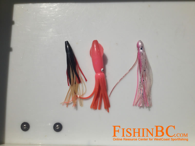 How-To Rig Squid with a Circle Hook for Pacific Halibut 