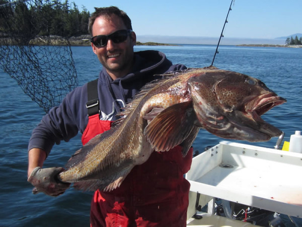 Lingcod Fishing Tips - Learn & Catch More Lingcod!