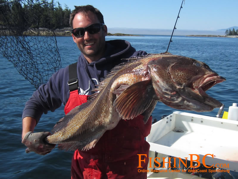 Great fishing with Halibut jigs - Best Ling Cod jigs and luresBest Ling Cod  jigs and lures